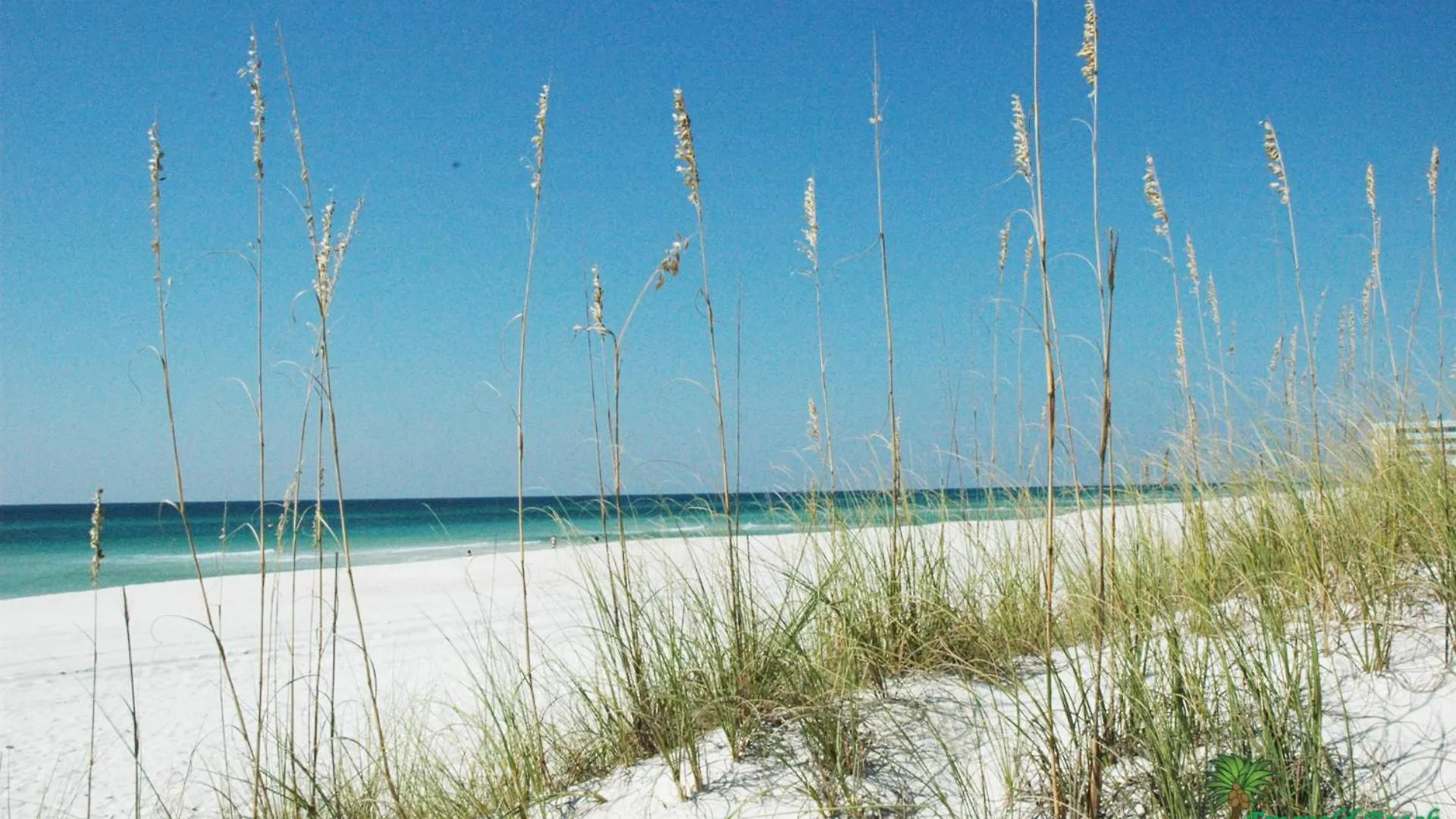 Vila Twin Palms 1903 'No Bad Days' Panama City Beach 0*,  USA